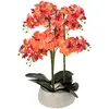 Image de Orchidée Artificielle En Pot Sanae Pot En Ciment Orange H65cm - Atmosphera