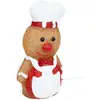 Image de Forme Acrylique Extérieure Pain D'épice Solaire 25 Led Fixes H.28,5cm - Feeric Lights & Christmas