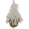 Image de Sapin Blanc Base Jute H20 - Atmosphera