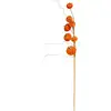 Image de Bch Citrouille H60 - Atmosphera