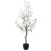 Image de Arbuste blc pot h120