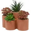 Image de Plante Artificielle En Pot Wonj 22x16cm - Atmosphera