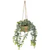 Image de Plante Artificielle Suspendue Patri H47cm - Modèle A - Atmosphera