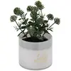 Image de Plante Artificielle En Pot Tayli H18cm - Modèle A - Atmosphera