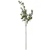 Image de Branche dEucalyptus Génération Vintage 98cm Vert