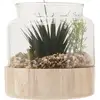 Image de Vase terrarium en bois avec plante ATMOSPHERA
