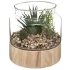 Image de Plante artificielle terrarium pot verre H175cm - Atmosphera Créateur dintérieur