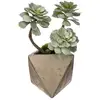 Image de Atmosphera 114761 Plante Artificielle