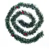 Image de Guirlande Verte Bouts Blancs L200 - Feeric Lights & Christmas