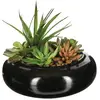 Image de Composition Des Plantes Arificielles Vase En Céramique H6 Cm Noir H6cm - Atmosphera