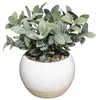 Image de Plante en pot céramique - ATMOSPHERA - Blanc - D. 24 x H. 20 cm - GRES / PIERRE