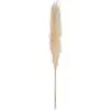 Image de 3 Fleurs Séchées Pampa Naturelle H110cm - Atmosphera