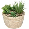 Image de Composition florale artificielle H19cm - Atmosphera Créateur dintérieur