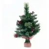 Image de Sapin Wyoming 50cm - Feeric Lights & Christmas