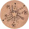 Image de Assiette De Présentation Liège Terre Sauvage - Vaisselle De Noël - Marron