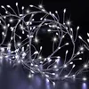 Image de Guirlande lumineuse - FEERIC LIGHTS & CHRISTMAS - 10m - 800 LED - Blanc froid - Extérieur