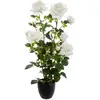 Image de Rosier Artificiel Pot Ciment H74cm - Blanc - Atmosphera