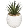 Image de Plante Artificielle Ananas H21cm - Blanc - Atmosphera