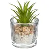 Image de Plante Artificielle H10cm - Atmosphera Créateur D'intérieur
