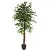 Image de Ficus Artificiel Benjamina Vert H180cm - Atmosphera