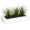 Image de Centre de table Keiko 3 aloe vera artificielle blanc H17cm - Atmosphera Créateur dintérieur