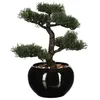Image de Bonsaï artificiel pot céramique H36cm - Atmosphera Créateur dintérieur