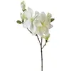 Image de Tige De Magnolia Artificiel Blanc H83cm - Atmosphera