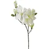 Image de Tige de magnolia artificiel blanc H83cm - Atmosphera Créateur dintérieur