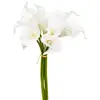Image de Bouquet De 8 Arums Artificiels Blanc H36cm - Atmosphera