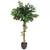 Image de Ficus Artificiel Vert H120cm - Atmosphera