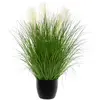 Image de Herbe Artificielle En Pot H105cm - Atmosphera