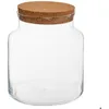 Image de Terrarium verre H21cm - Atmosphera Créateur dintérieur