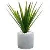 Image de Aloe Vera Artificiel Pot Céramique H48cm - Atmosphera