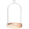 Image de Cloche en verre transparent avec socle blois ATMOSPHERA