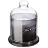 Image de Bougie Parfumée Cloche Loyd Frangipanier 650g - Atmosphera