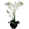 Image de Orchidée Artificielle Vase Céramique Noir H53cm - Atmosphera