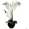 Image de Orchidée artificielle vase céramique noir H53cm - Atmosphera Créateur dintérieur