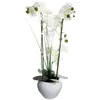 Image de Orchidée Artificielle Vase Céramique Blanc H53cm - Atmosphera