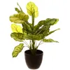 Image de Plante Artificiel En Pot - H 45 Cm