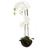 Image de Orchidée Artificielle Pot Céramique H115cm - Atmosphera