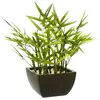 Image de Bambou Artificiel H35cm - Atmosphera