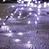 Image de Guirlande Lumineuse Intérieur 2m Blanc Froid 20 Led À Piles - Feeric Lights & Christmas