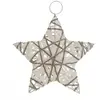 Image de Sdn Rotin Etoile Paill Pm - Feeric Lights & Christmas