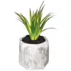 Image de Plante Grasse Artificielle Pot Ciment H14cm - Modèle A - Atmosphera