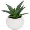 Image de Plante Grasse En Pot H13 - Modèle E/blanc - Atmosphera