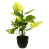 Image de Plante Artificielle Pot Ciment H45cm - Vert/uni - Atmosphera