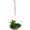 Image de Plante Artificielle En Boule Pot Verre H17cm - Vert Clair - Atmosphera
