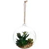 Image de Plante Artificielle En Boule Pot Verre H17cm - Vert Foncé - Atmosphera