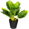 Image de Plante Artificielle Pot Ciment H30cm - Modèle B - Atmosphera