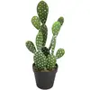 Image de Cactus Artificiel H42cm - Atmosphera Créateur D'intérieur